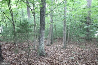 Lot 54 Warden Circle Rd, Capon, WV 26851 - photo 5