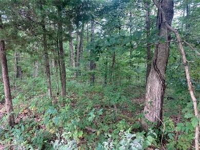 0 St Neots Ln unit 1194087, Bella Vista, AR 72714 - photo 2