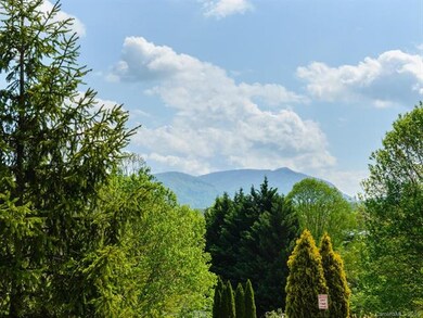 25 Wilson Creek Dr, Asheville, NC 28803 - photo 5