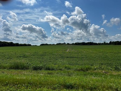 XX TBD Mellgren Ln, Chaska, MN 55318 - photo 6