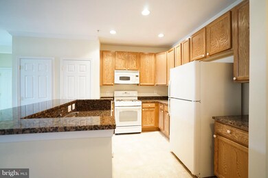 1301 Karen Blvd unit 402, Capitol Heights, MD 20743 - photo 6
