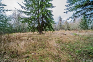 30710 38th Ave NW, Stanwood, WA 98292 - photo 2