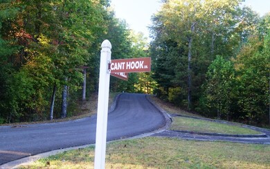 L 41 Cant Hook Dr, Ellijay, GA 30540 - photo 3