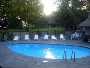 Relaxing Inground Pool