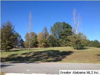 Beautiful pines and hardwoods complete the scenic 