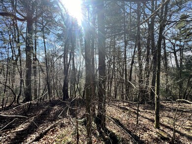 0 Indian Ln unit RTC2714807, Ellijay, GA 30540 - photo 7