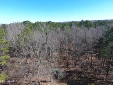 dji_0155