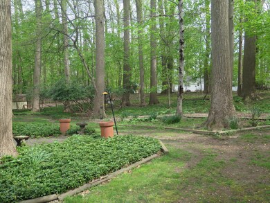 GARDENS/BACK YARD VIEWS