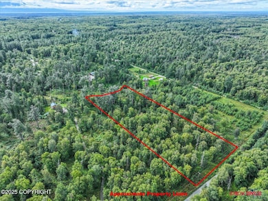 6114 E Altra Dr, Fishhook, AK 99645 - photo 6