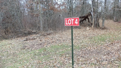 Lot 4 300th St, Sterling Township, WI 54024 - photo 2