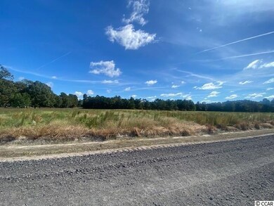 TBD William Nobles Rd unit Lot 3, Aynor, SC 29511 - photo 2