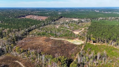 0 Little Rock County Line Rd, Union, MS 39365 - photo 7