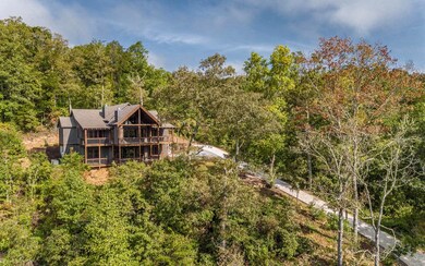 160 Blackberry Dr, Mineral Bluff, GA 30559 - photo 3