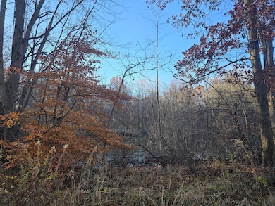 VL Marcellus Hwy, Marcellus, MI 49067 - photo 4