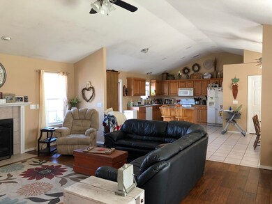 IMG_0282