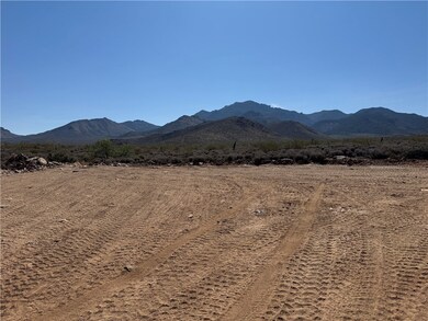 Looking East