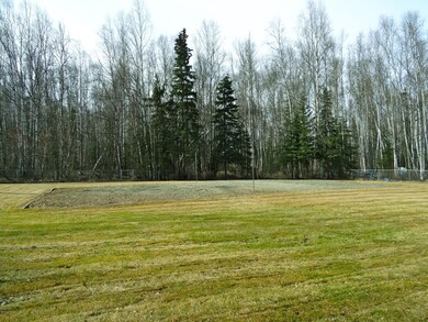 Full Volleyball Court