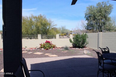 BACKYARD 2