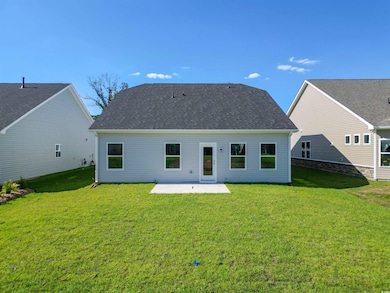 Rear view of property featuring a patio and a yard