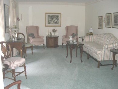 Living Room. Spacious living room with light carpe