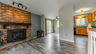 wood burning stove