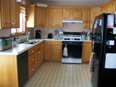 1009 Warren St, Chenoa, IL 61726 - photo 5