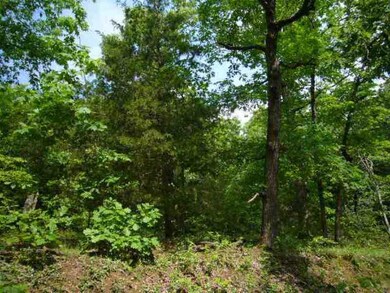 13760 Green Rd, West Fork, AR 72774 - photo 3
