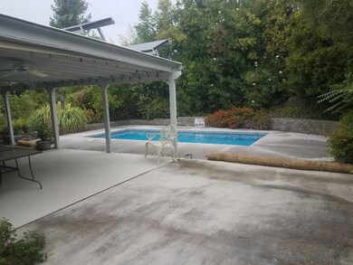 denton pool paito
