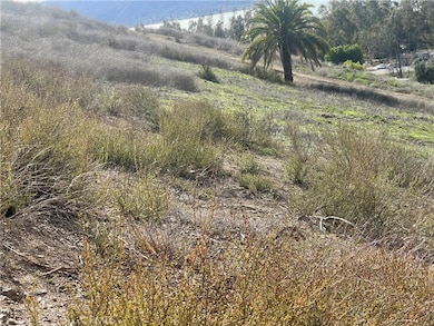 0 Skyline Dr unit SW25137024, Lake Elsinore, CA 92530 - photo 3