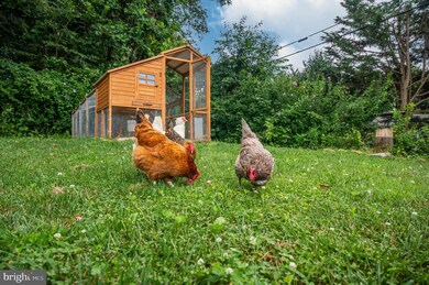 1903 Haverhill Rd, Parkville, MD 21234 - photo 5