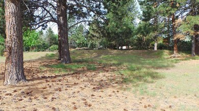 21003 Avery Ln, Bend, OR 97702 - photo 6