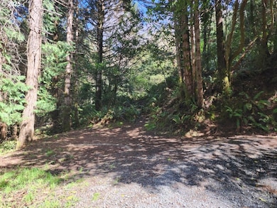 0 Jefferson St unit Lot 1&6 391642538, Port Orford, OR 97465 - photo 2