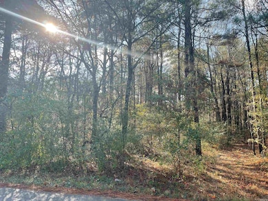 TBD Honeysuckle Rd, East End, AR 72206 - photo 3