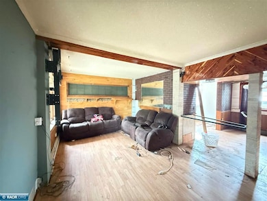 117 Frantz St, Buhl, MN 55713 - photo 7