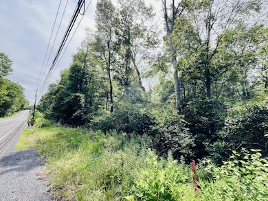 Road View