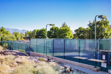 Tennis Court and Pickleball Courts