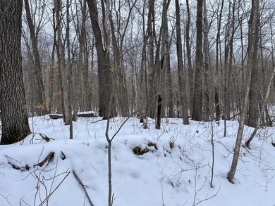 tbd Pebble Pass, Cushing Township, MN 56443 - photo 5