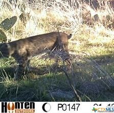 0 Cr 3940 unit 472151, Lampasas, TX 76550 - photo 6