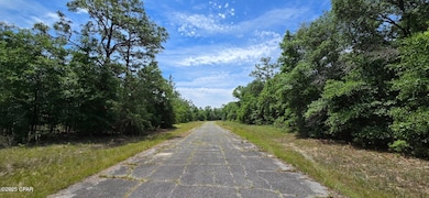 Lot 18 Fusion Cir, Chipley, FL 32428 - photo 4