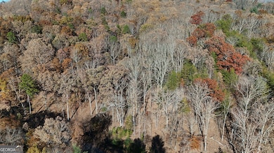 LOT 183 N Shore Dr, Cleveland, GA 30528 - photo 3