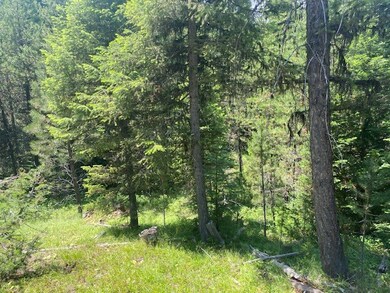 33 Challis Ln unit Lot 5, Cascade, ID 83611 - photo 5