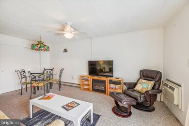 6 126th St unit 204S, Ocean City, MD 21842 - photo 4