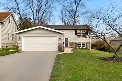 281 W Fremont Ave, Elmhurst, IL 60126 - photo 2