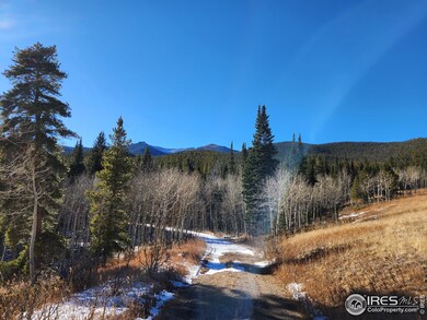 0 Arapahoe Dr, Bellvue, CO 80512 - photo 7