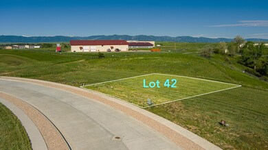 Lot 42b