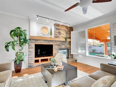 23161 Timber Spring Place, Parker, CO 80138 - photo 7