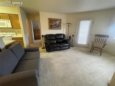 View of carpeted living room
