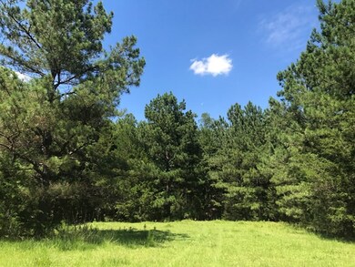 Lot 5 Guillebeau Rd, Lincolnton, GA 30817 - photo 6