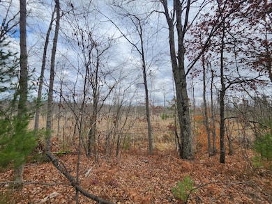 10544 N Lazy Ln, Bitely, MI 49309 - photo 7