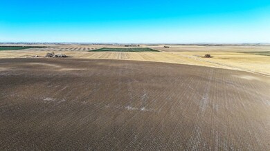 TBD Cass Rd, Hemingford, NE 69348 - photo 5